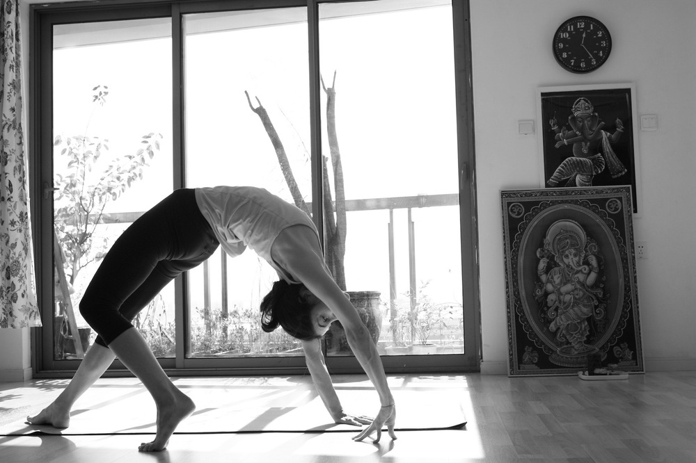 drishti vinyasa yoga shala